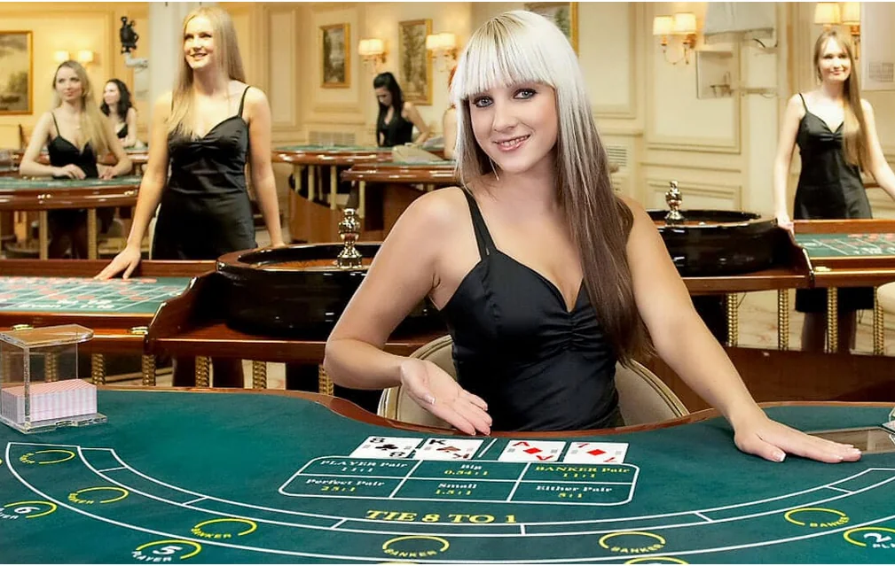 Tampilan meja kasino live dengan dealer untuk MARINA77